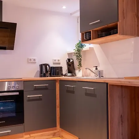 Ruhig Und Zentral An Der Donau Lejlighed Ulm